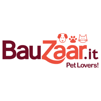 bauzaar.it