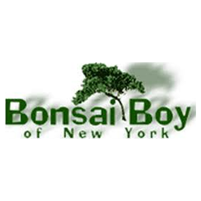 bonsaiboy.com