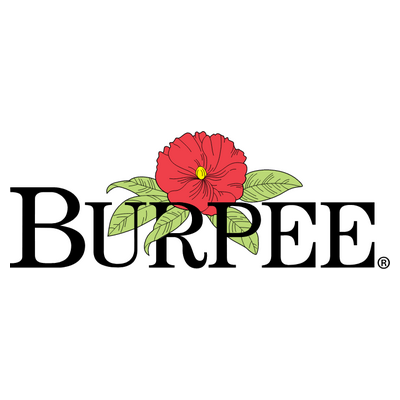 burpee.com