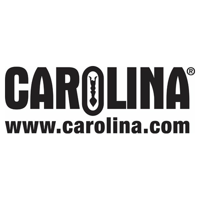 carolina.com