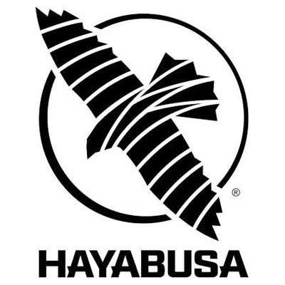 hayabusafight.com