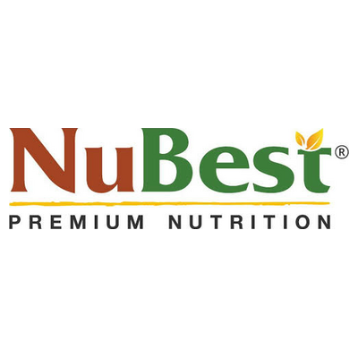 nubest.com