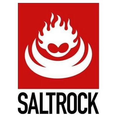 saltrock.com