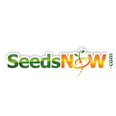 seedsnow.com